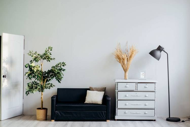 Feng Shui for Beginners: A Guide to Harmonising Your Home