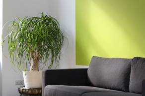 How to Decorate Your Living Room in Contemporary Style