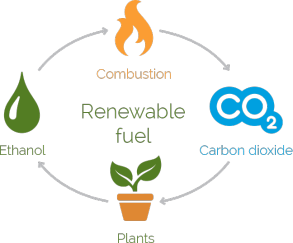What is bioethanol fuel (Bamboo)? How it is produced? Principle, steps and  Benefits. Challenges. 