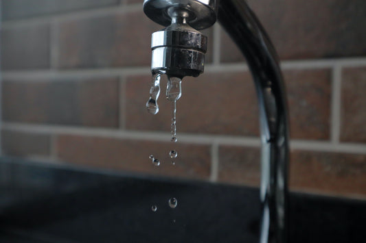 What is Your Carbon Footprint? Learn How to Reduce It At Home