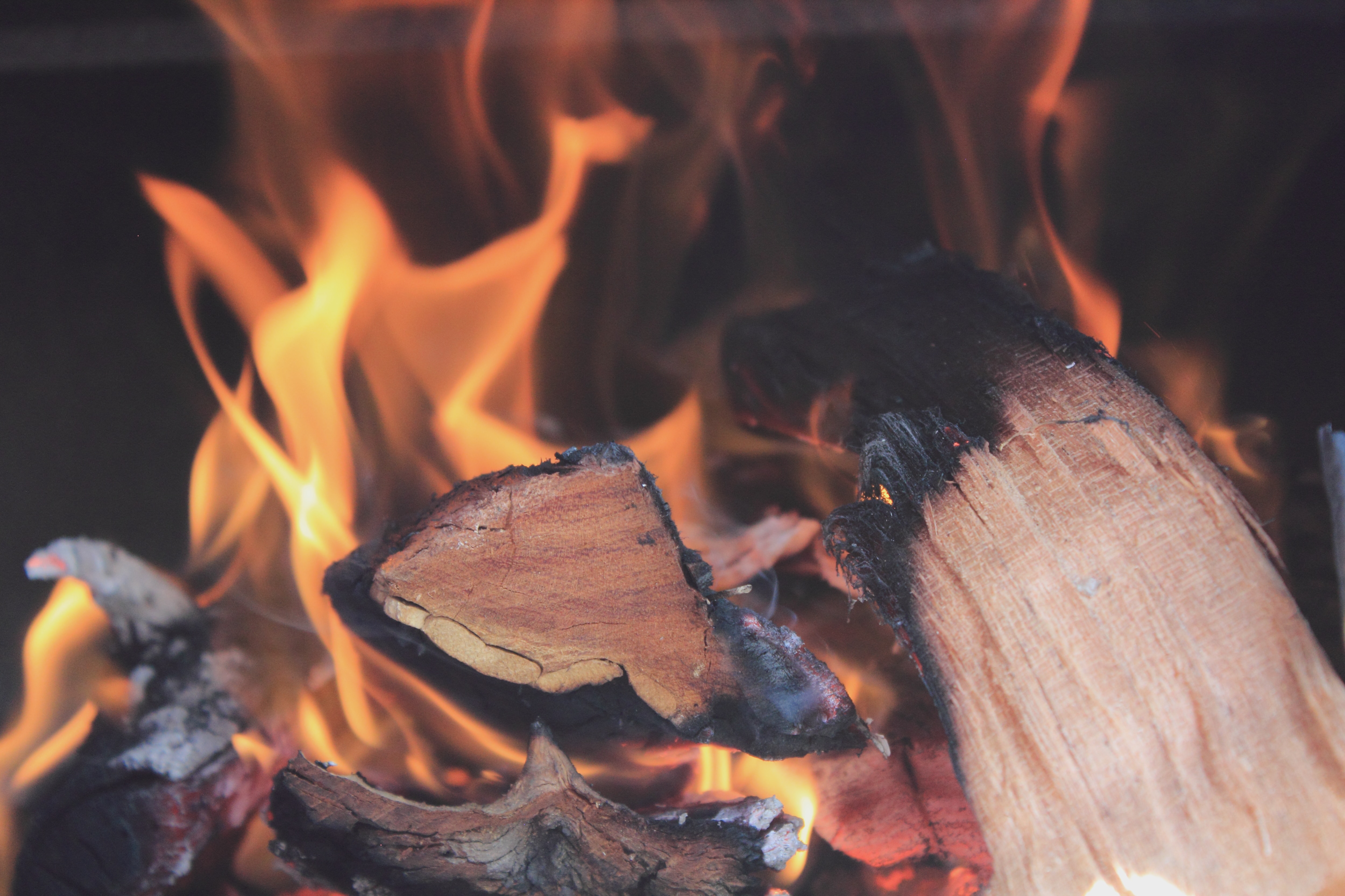 The Environmental Impact of Log Burners: Keep or Ditch?