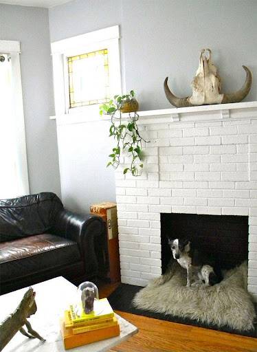 empty fireplace as a pet house