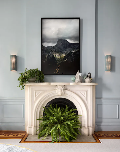 green plant in unused fireplace
