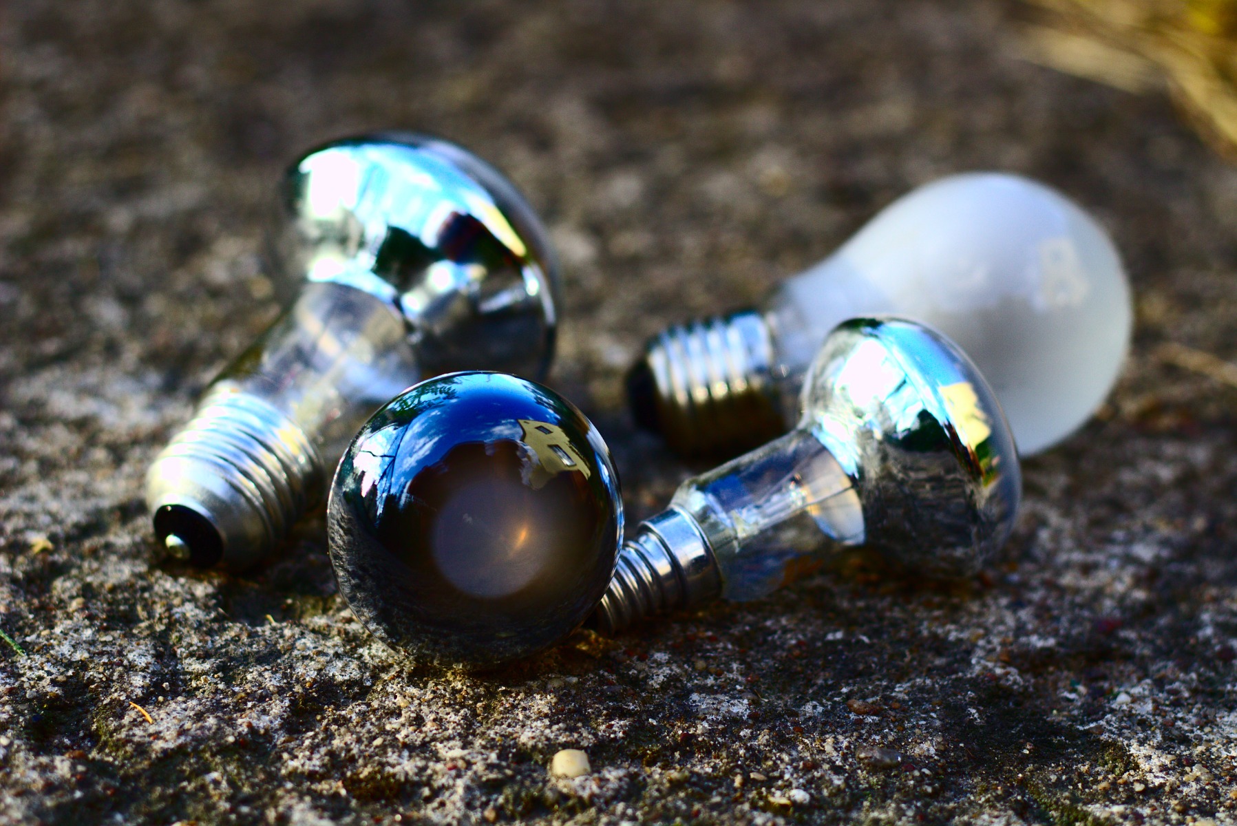 Four light bulbs lying on the ground