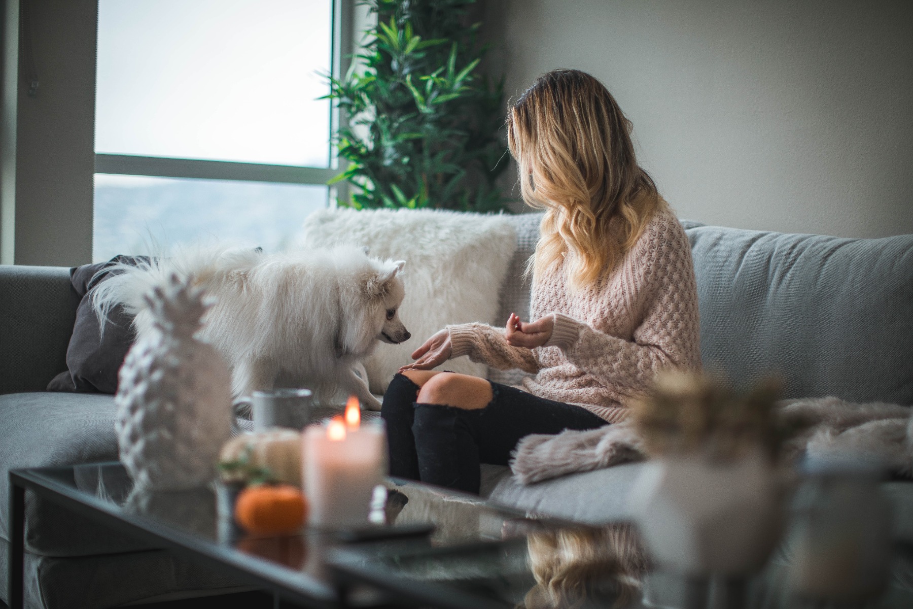 Woman feeding a white dog in a candle-lit living room 