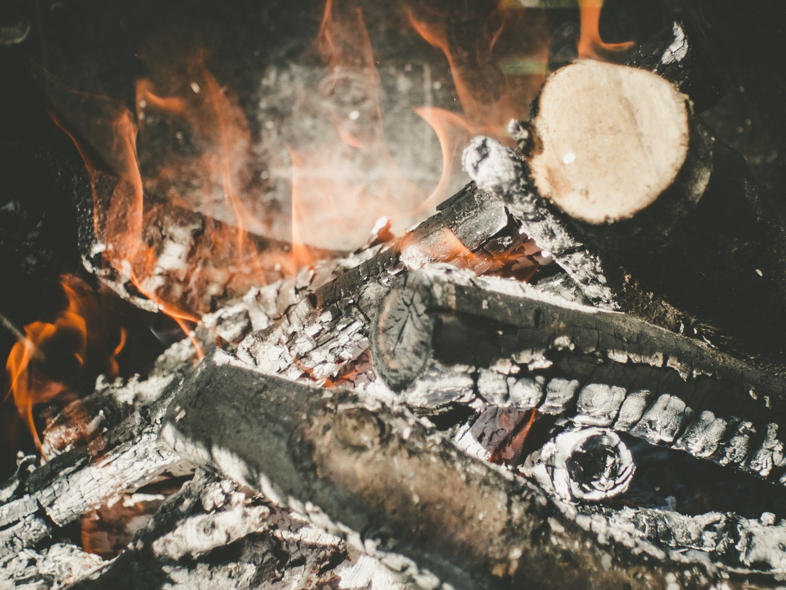 Burning logs 