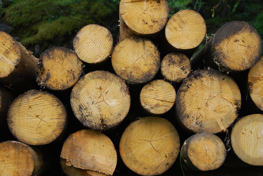 Brown wooden logs