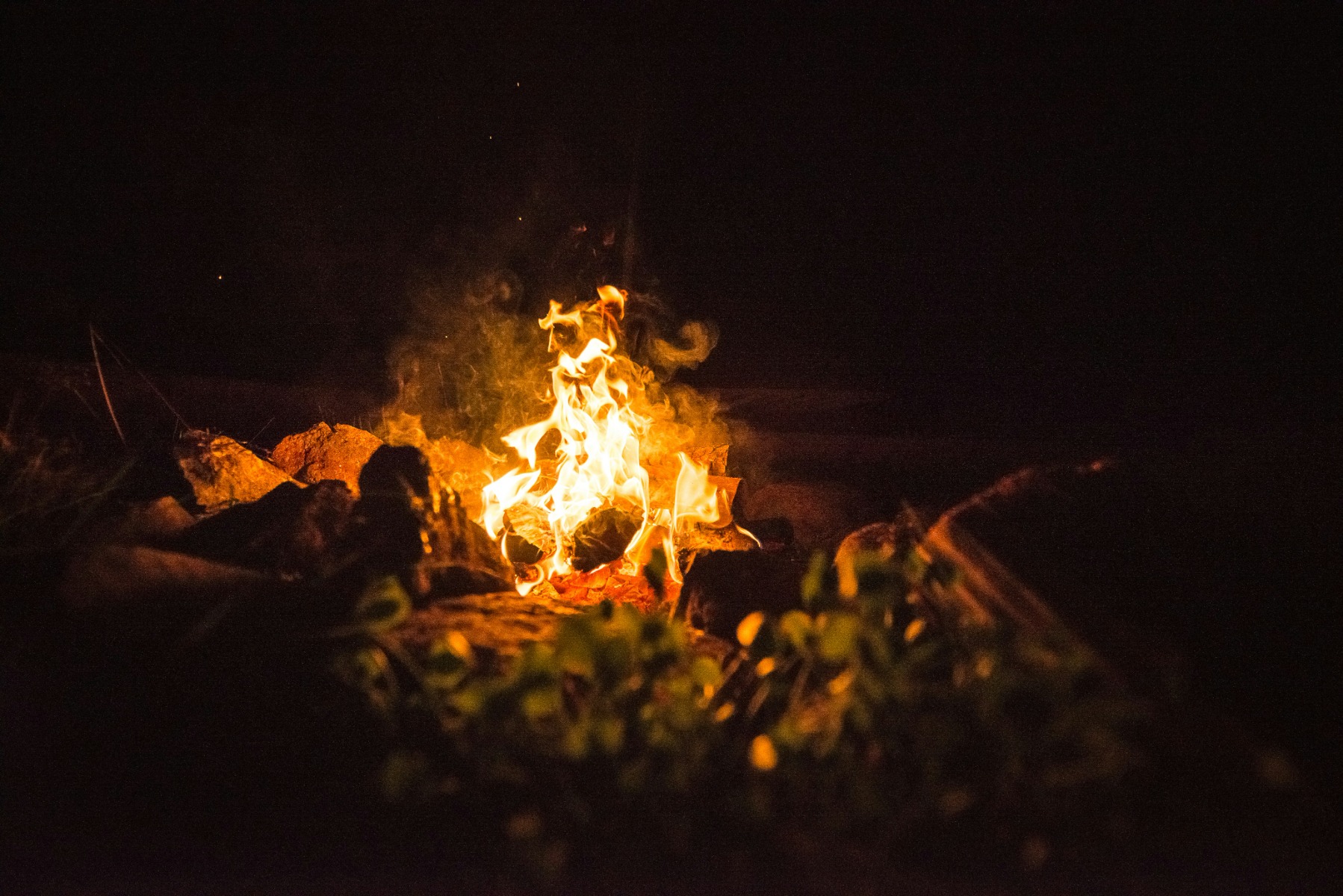 Wood burning in orange flame
